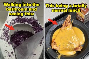 Left image: A toilet seat covered in shredded purple cabbage. Text: "Walking into the bathroom and seeing this."
Right image: Pizza slice covered in melted cheese on a plate. Text: "This being a totally normal lunch."